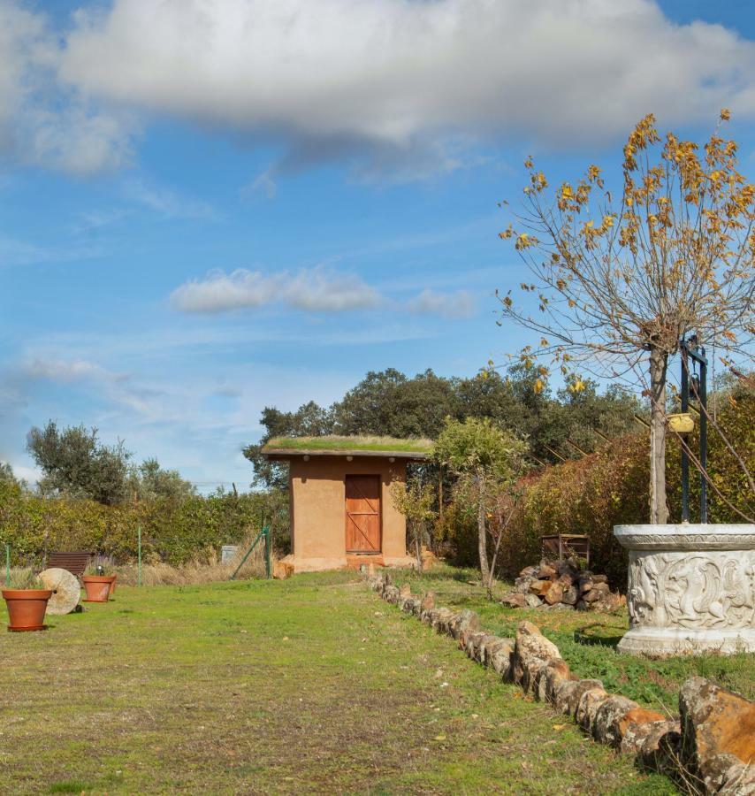 Finca Los Pajaros Cerca De Puy Du Fou Toledo Navahermosa  Exteriör bild